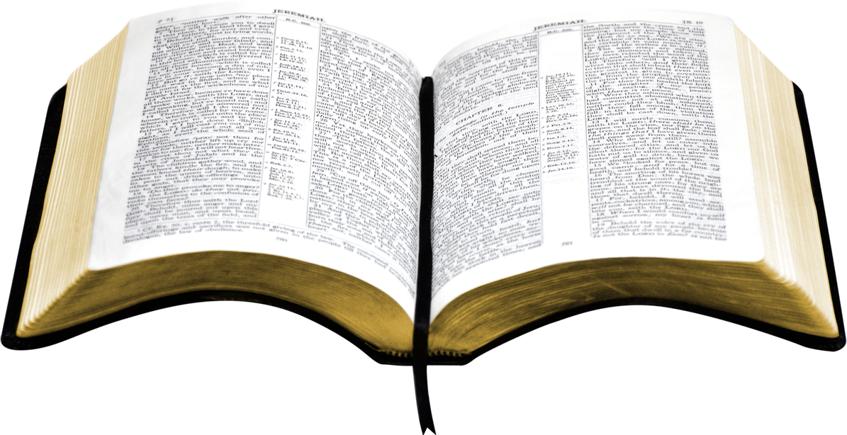 Holy Bible (black, lavender, white)