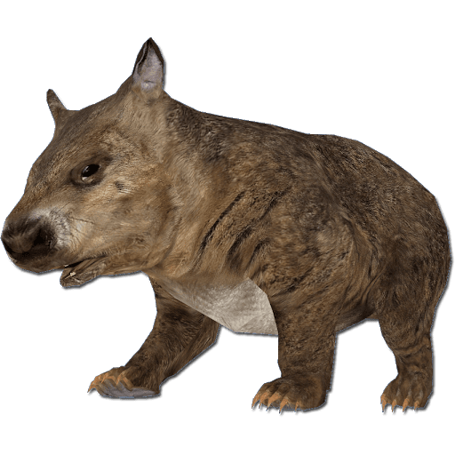 Wombat Png Pic (gray)