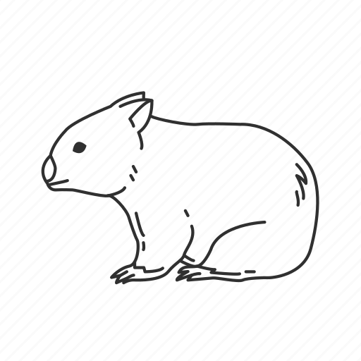 Wombats Png Isolated Pic (black)