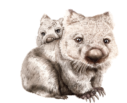 Wombats Png Photos (black, silver, beige)