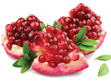 Pomegranate Png Image (black, maroon)