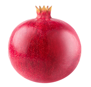 Pomegranate Transparent Background (black, pink, maroon, chocolate)