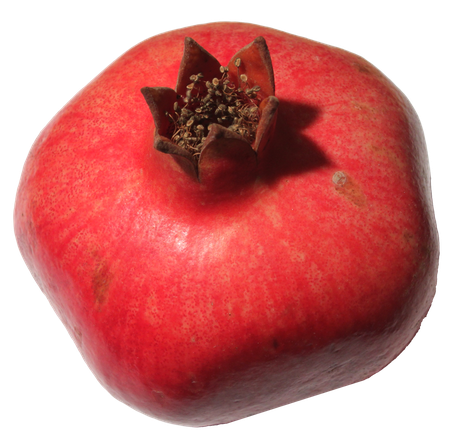 Pomegranate Transparent Png (salmon, black, chocolate)