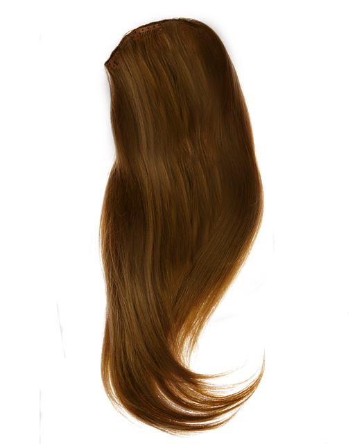 Women Hair Png Transparent Picture (maroon, black)