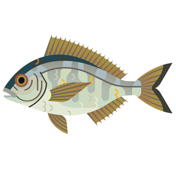 Common Bream Png (beige, black, indigo, silver)