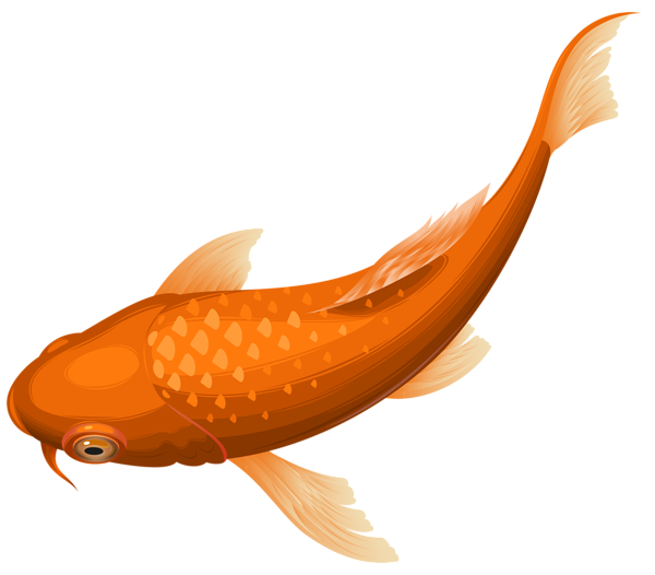 Common Carp Png Clipart (chocolate, black, orange)