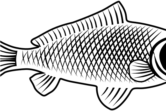 Common Carp Png Isolated File (lavender, black, white)