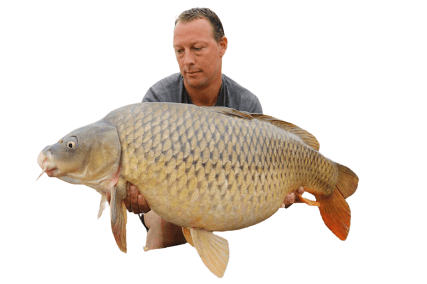 Common Carp Png Isolated Hd (black, silver)