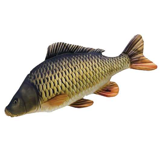 Common Carp Png Picture (black, white, indigo)