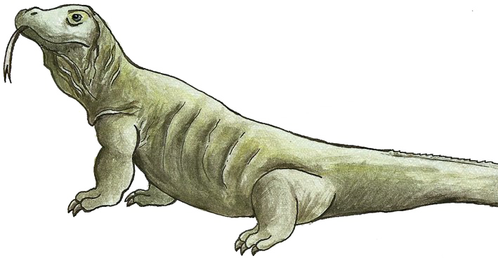 Komodo Dragon Png File (white, lavender)