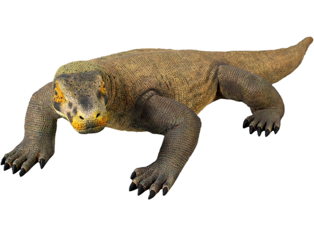 Komodo Dragon Png Picture (black)