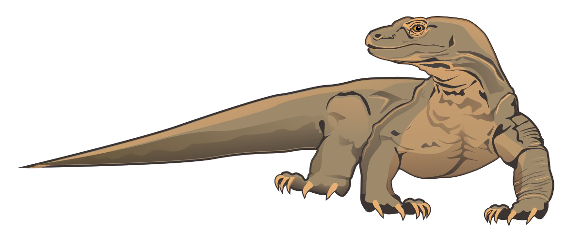 Komodo Dragon Transparent Background (white, gray, salmon)