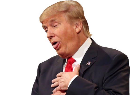 Donald Trump Png Transparent Image (black, white)