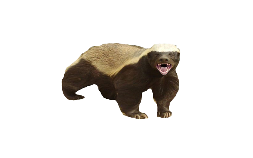 Honey Badger Background Png (black, white)