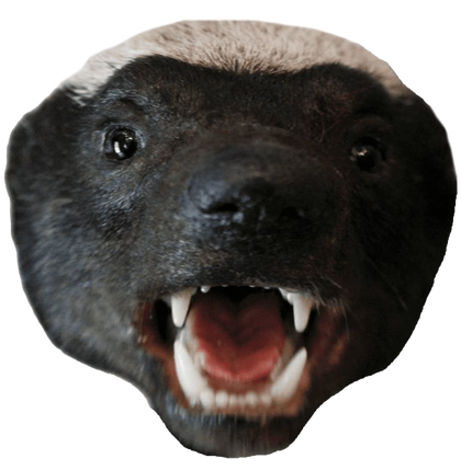 Honey Badger Transparent Images Png (black)