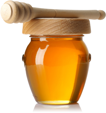 Honey Jar Png (white, orange)