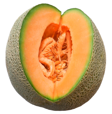 Honeydew Melon Png Isolated Pic (black, salmon)