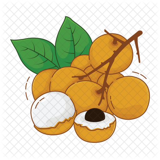 Longan Png Free Download (gray, chocolate, indigo, black, orange)