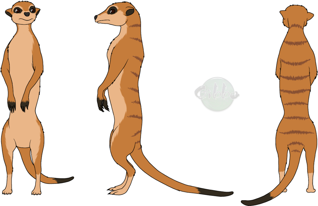 Mongooses Png Image (chocolate, black, salmon)