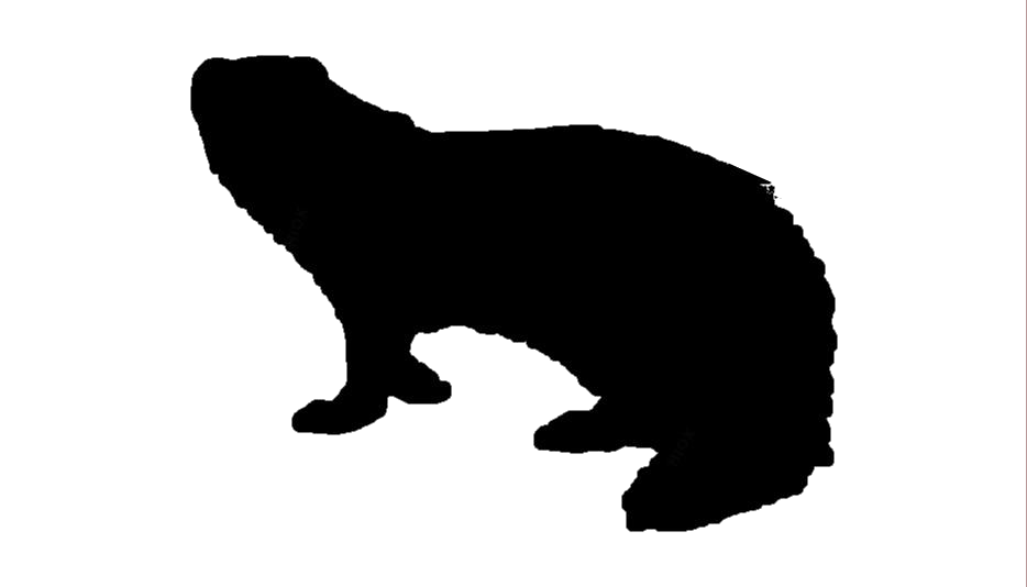 Mongooses Png Isolated File (white, indigo, black)