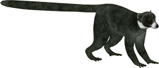 Mongooses Png Isolated Pic (black)