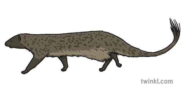 Mongooses Png Picture (gray)