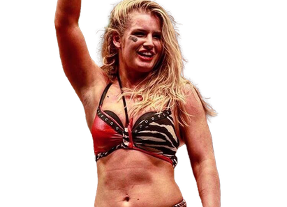 Toni Storm Download Png Image (maroon, black, chocolate)