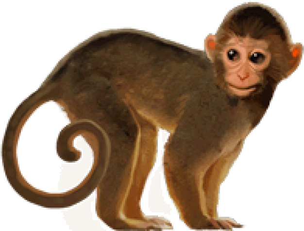 Monkey Png Isolated Photo (maroon, olive, black)