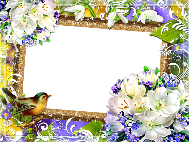 Mood Frame Png Image Hd (white)