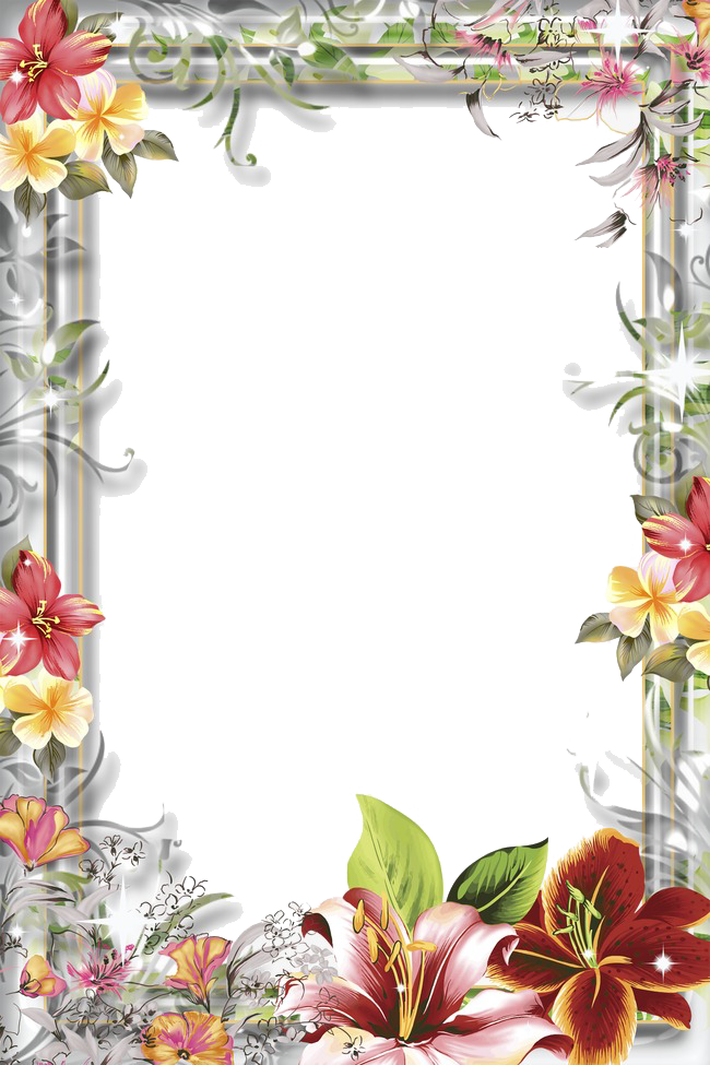 Mood Frame Png Photo (white, silver)