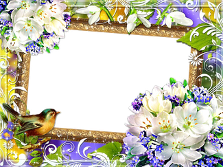 Mood Frame Png Pic (white, black)