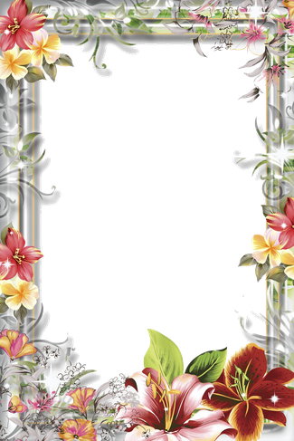 Mood Frame Transparent Png (silver, black, gray)