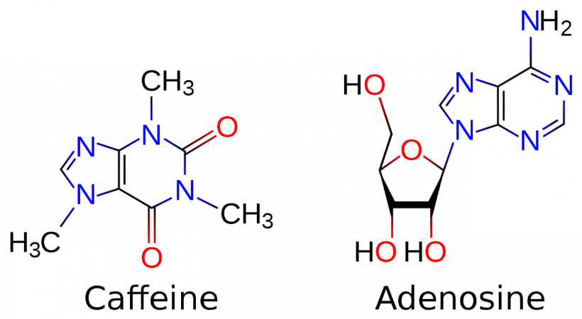 Good Molecule Png (black, navy)