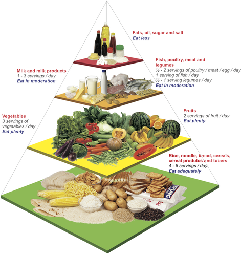 Food Pyramid Png Transparent (black, gray, yellow, white)