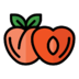 Food Fruit Vegetable Vegetarian Organic Peach Icon Free Transparent Png Icon Download (chocolate, black, salmon)