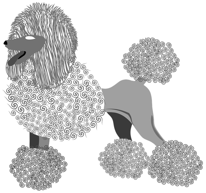 Poodle Png Isolated Photos (gray, indigo)