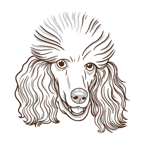 Poodle Png Picture (lavender, black, white)