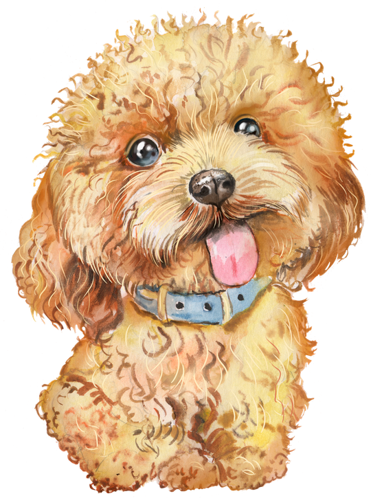 Poodle Png (black)