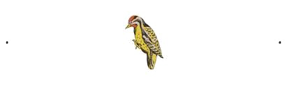 Woodpecker Png Clipart (white)