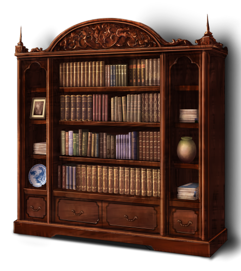 Bookshelf Wall Png (black)