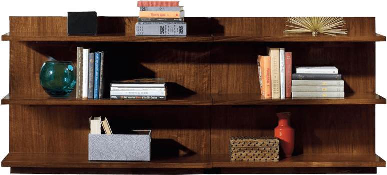 Bookshelf Wall Transparent (black)