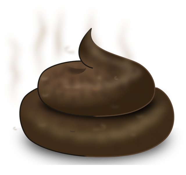 Poop Png Transparent Picture (black, gray)