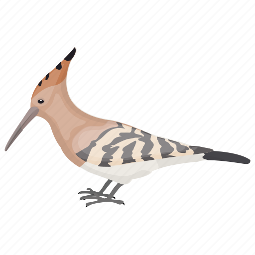 Hoopoes Download Png Image (black)