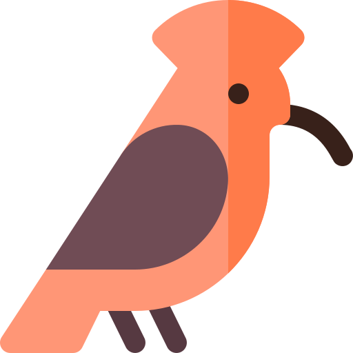 Hoopoes Png Hd Isolated (gray, indigo, black, salmon)