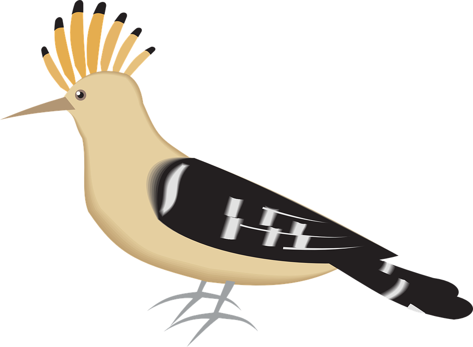 Hoopoes Png Hd (silver, pink, black)