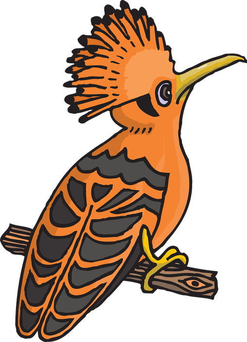 Hoopoes Png Isolated File (gray, chocolate, black, salmon, indigo)