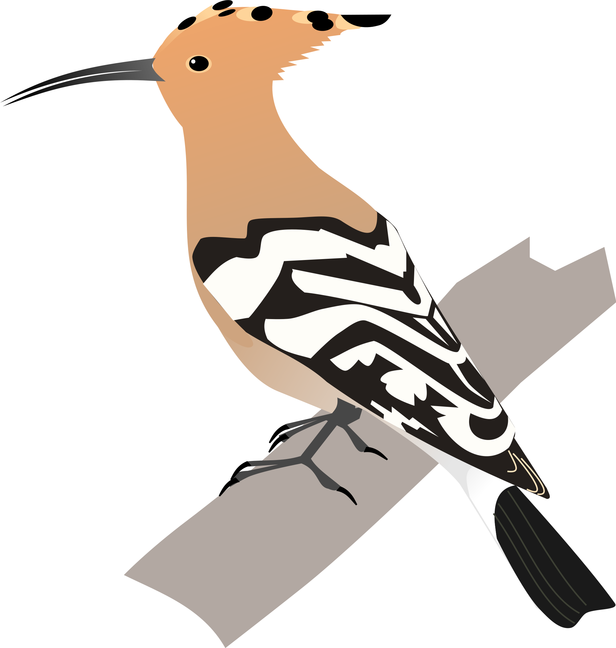 Hoopoes Png Isolated Pic (white, silver, black, salmon)