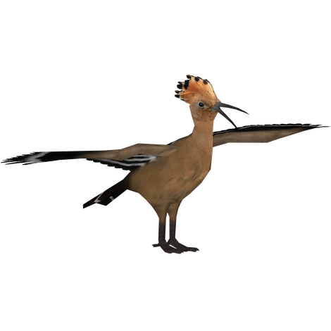 Hoopoes Transparent Png (black)