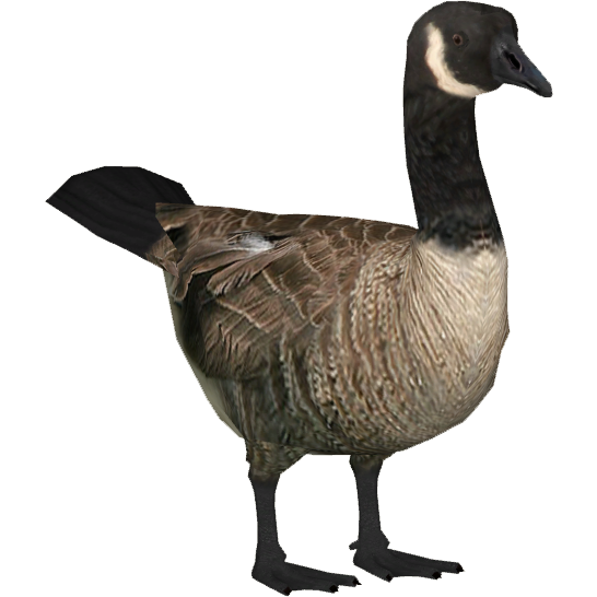 Goose Png Clipart (black, white)