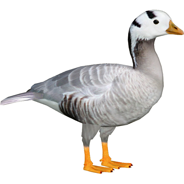 Goose Png File (silver, white)